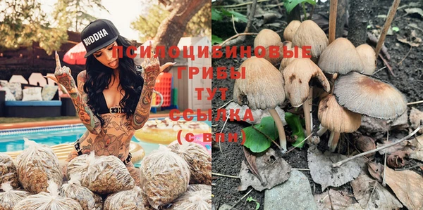 ECSTASY Дмитров