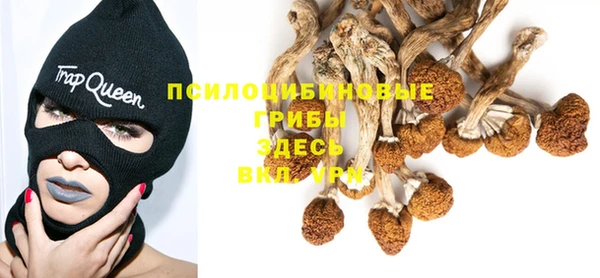 каннабис Дмитровск